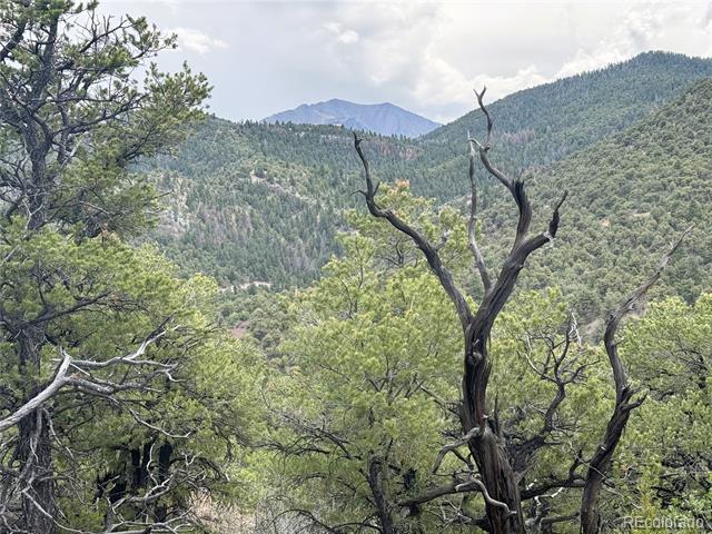 3282 Lower Camp Road