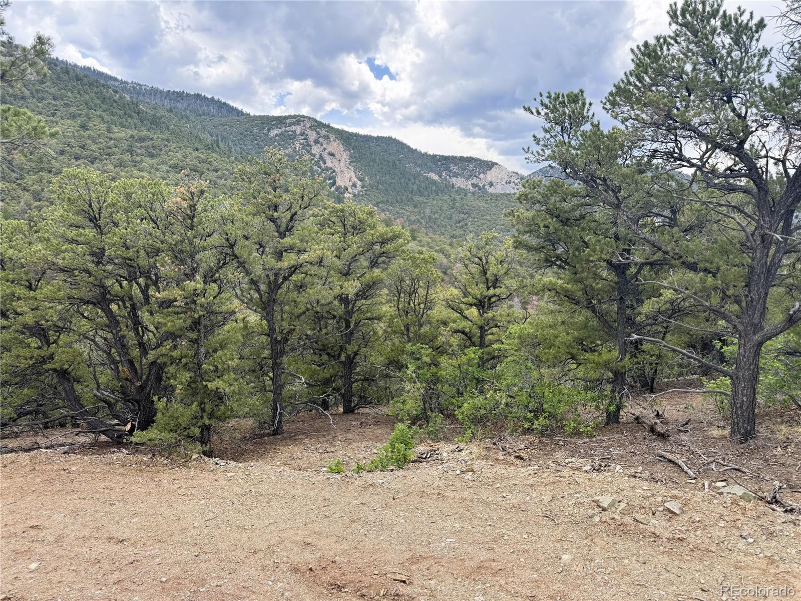 3282 Lower Camp Road