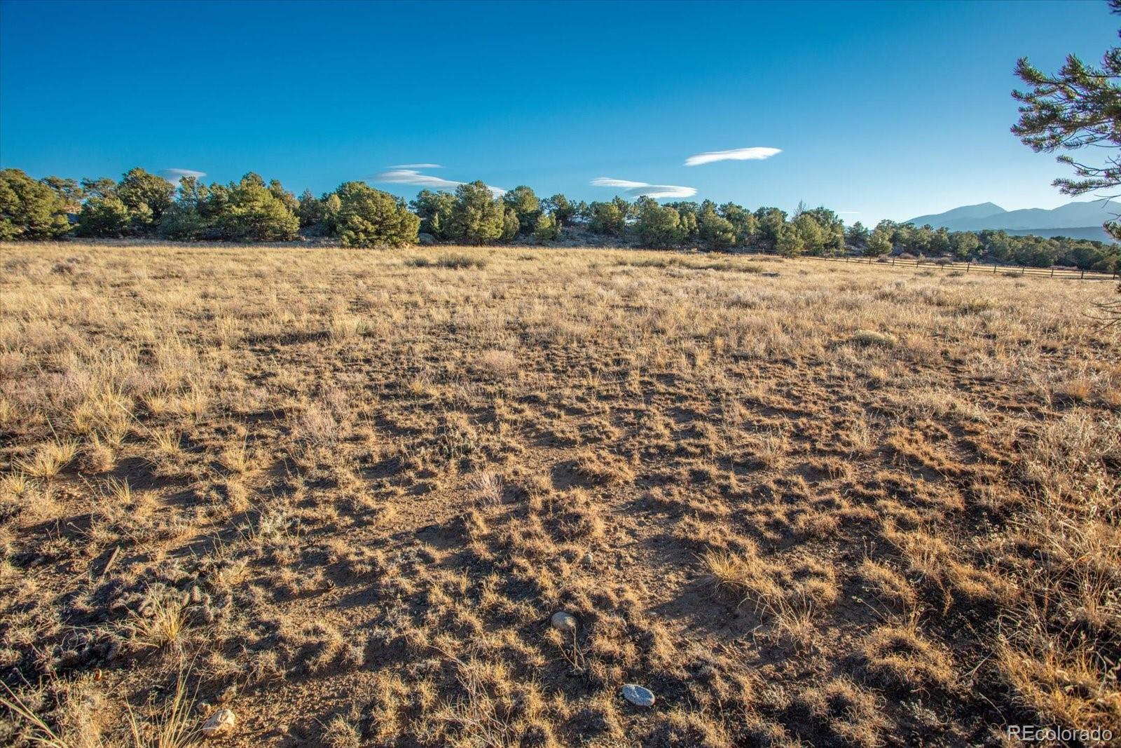 12740 County Road 195