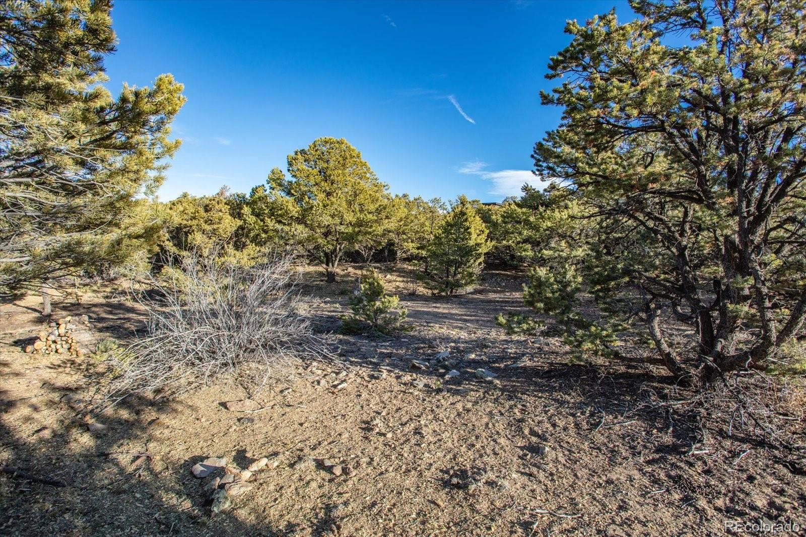 5450 Longbranch Road