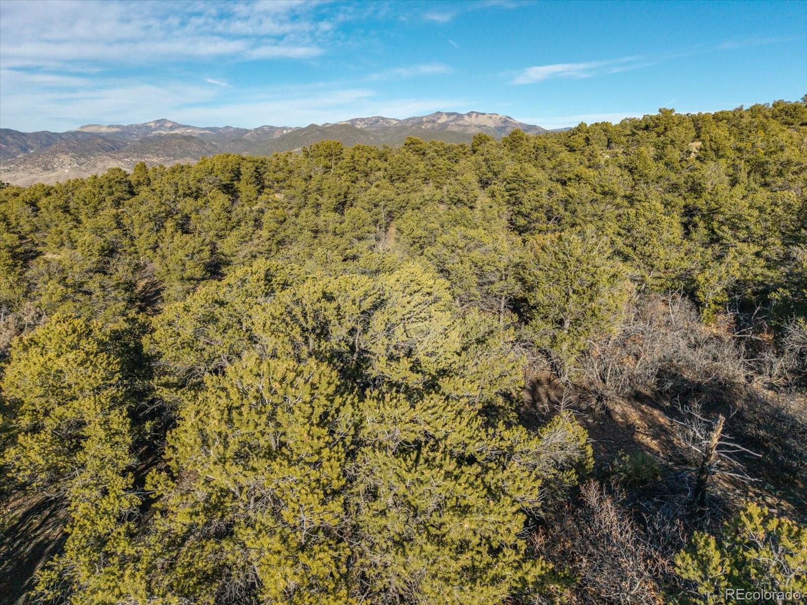 5450 Longbranch Road