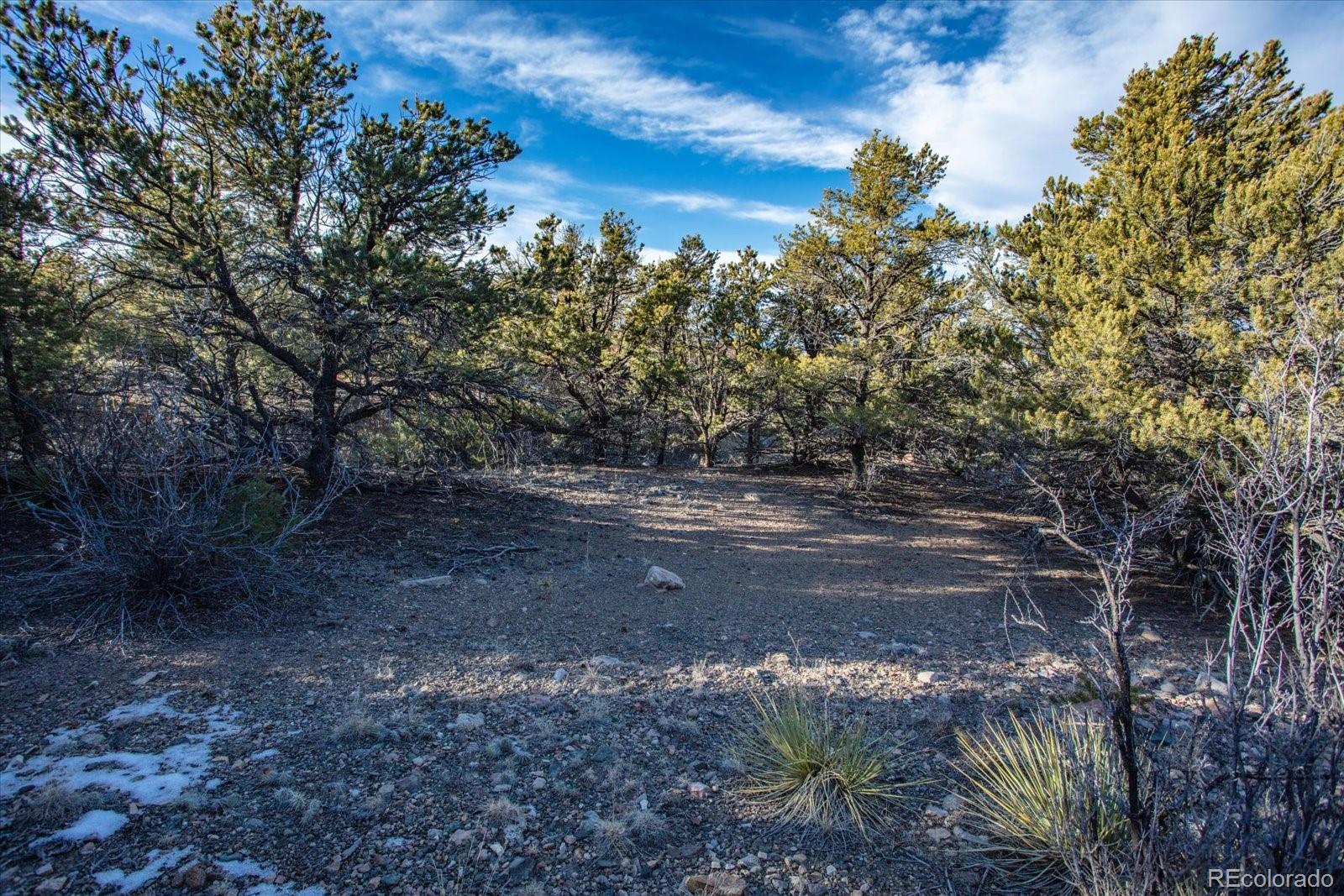 5450 Longbranch Road