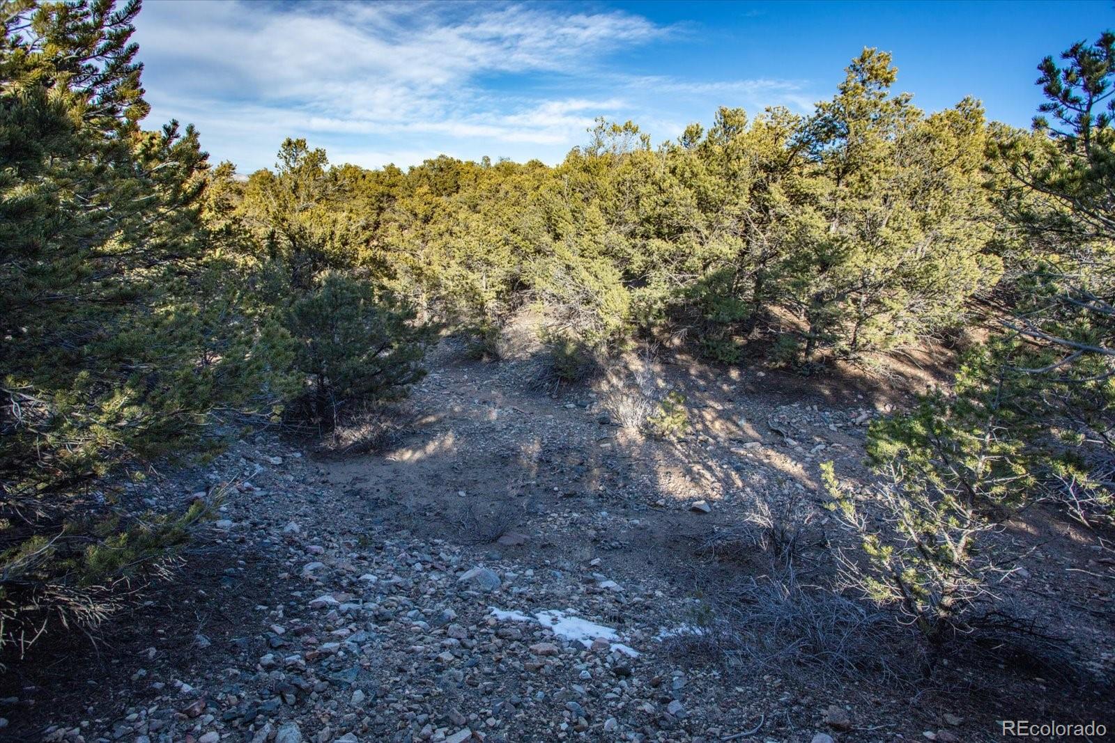 5450 Longbranch Road