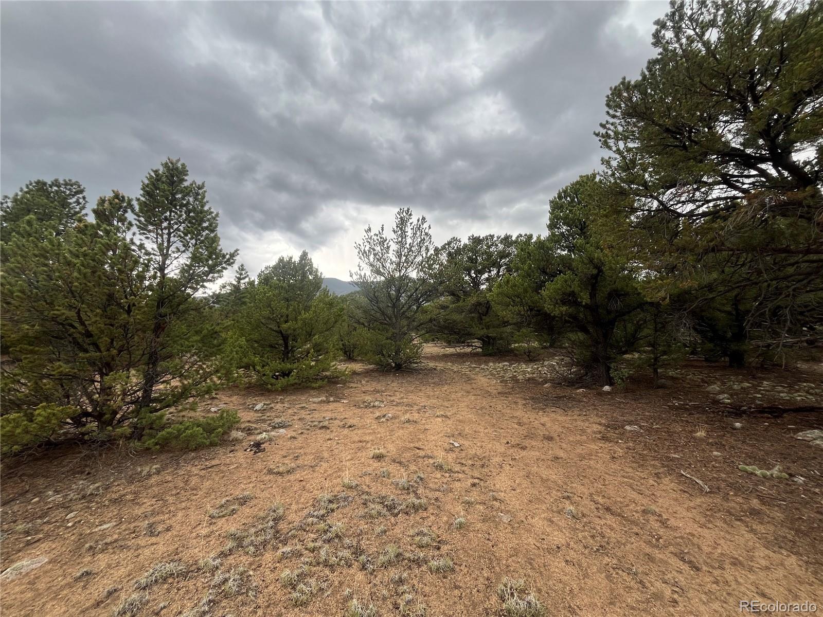 28933 Timber Ridge