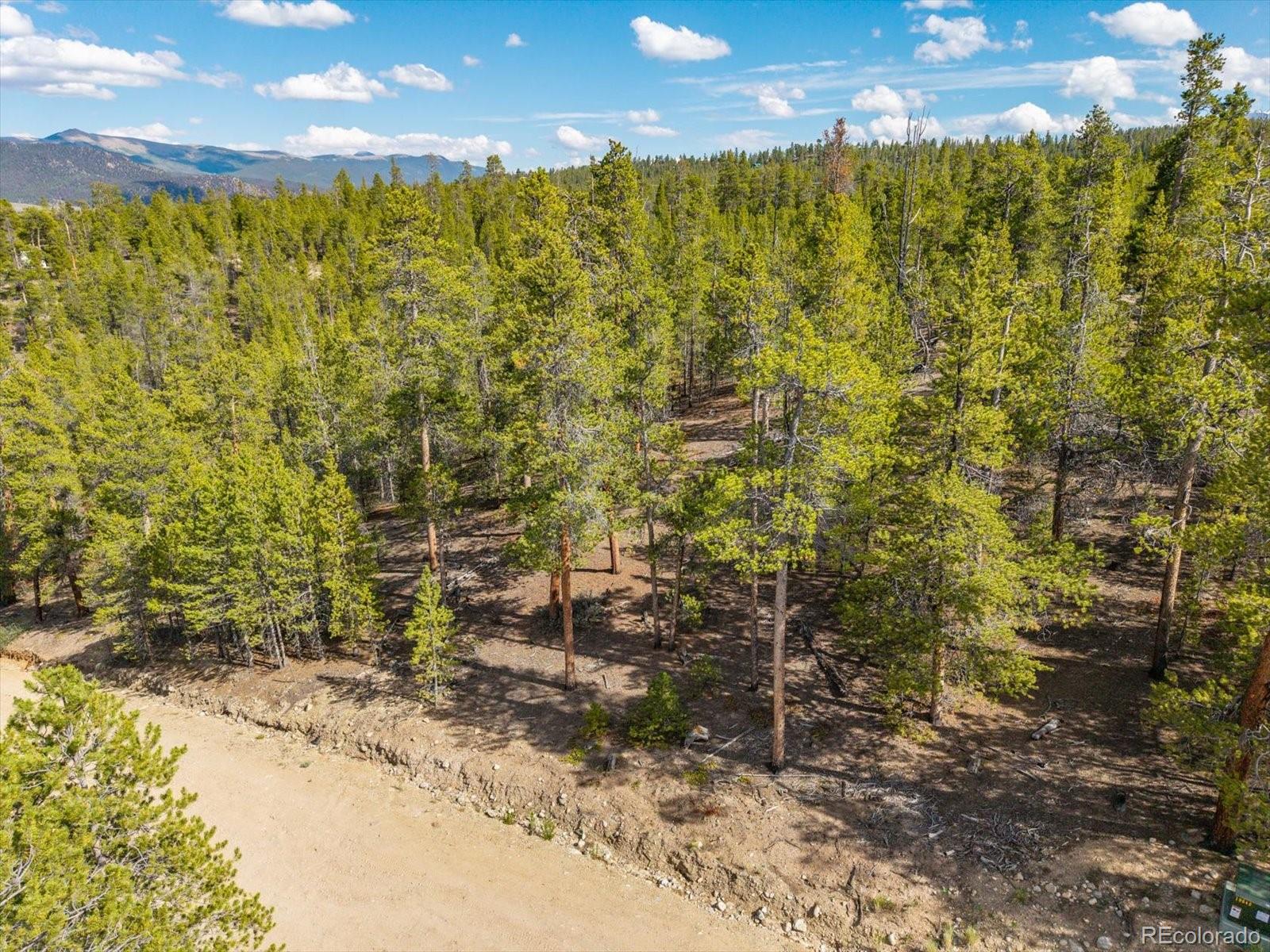 198 Lodgepole Drive