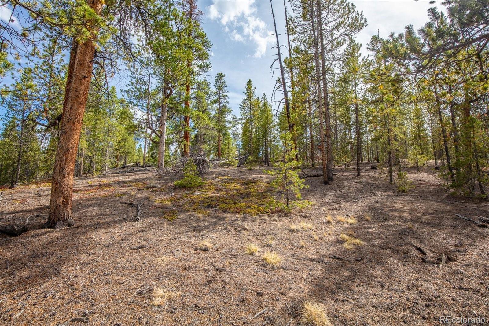 198 Lodgepole Drive