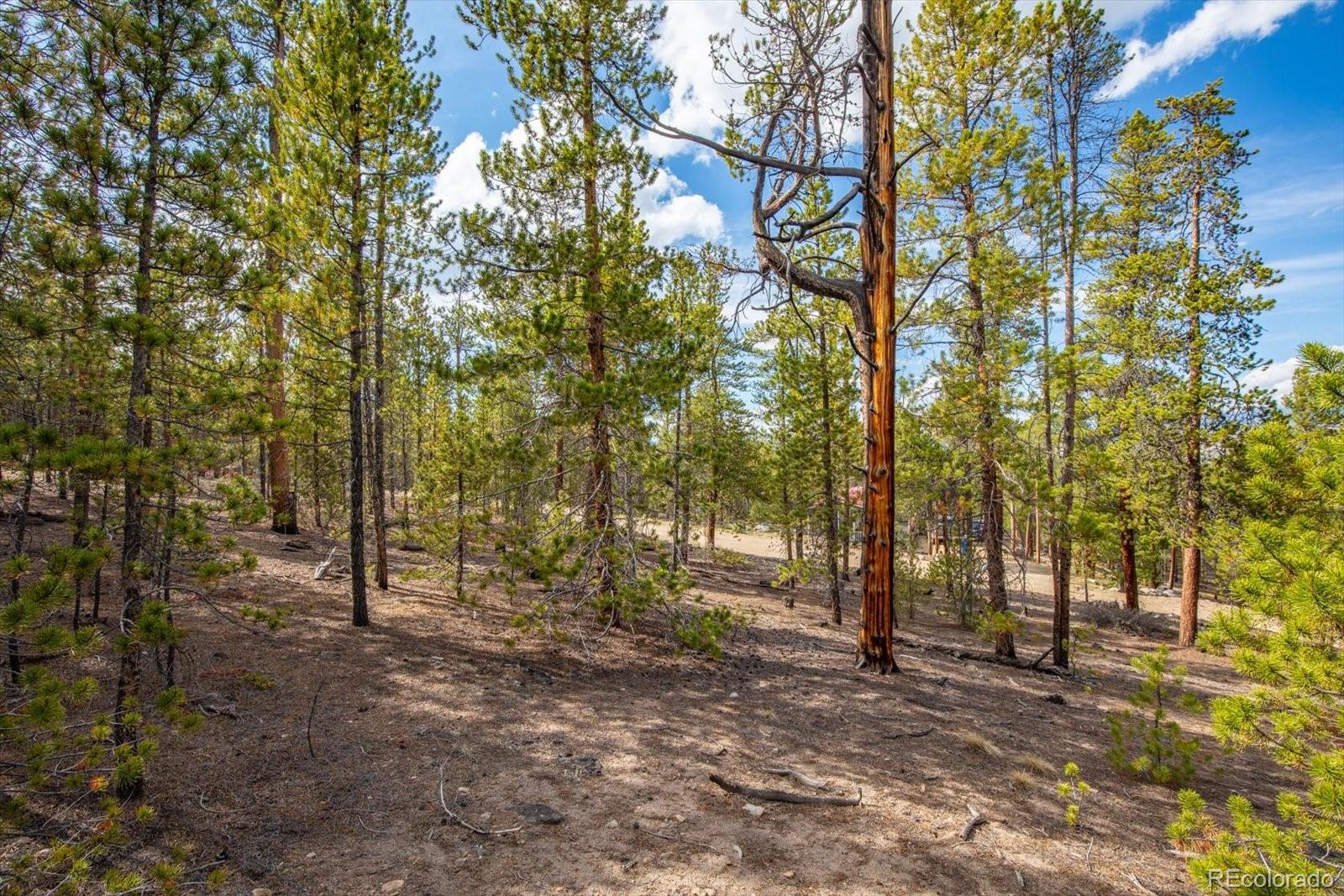 198 Lodgepole Drive