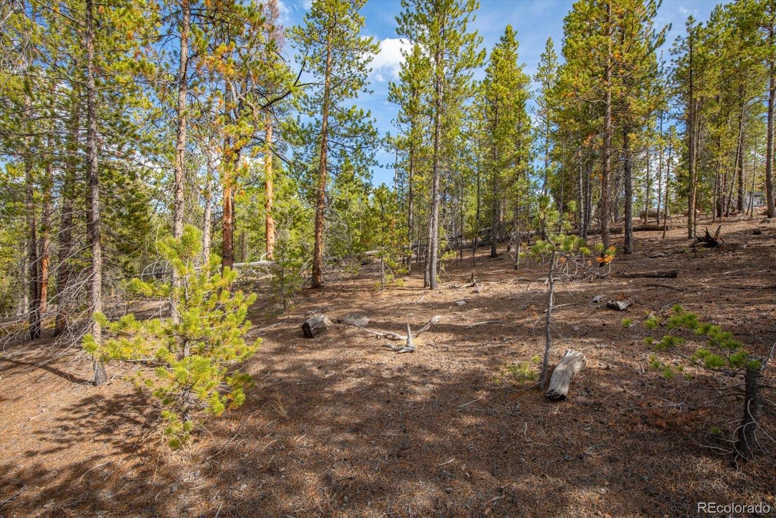 198 Lodgepole Drive
