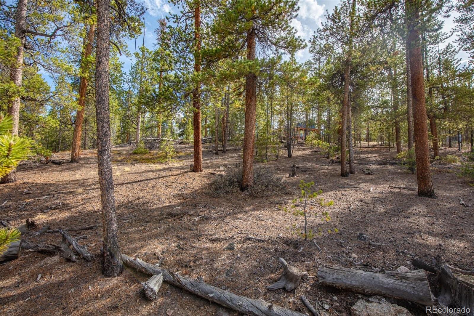 198 Lodgepole Drive