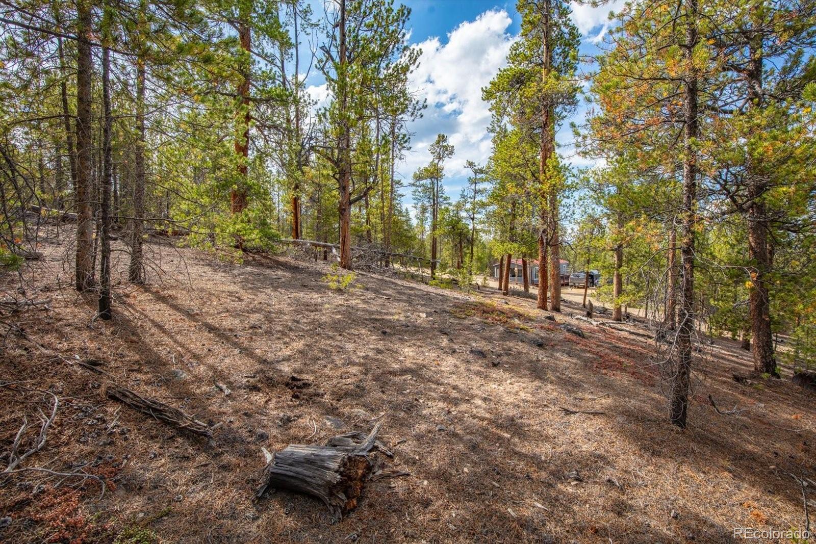 198 Lodgepole Drive