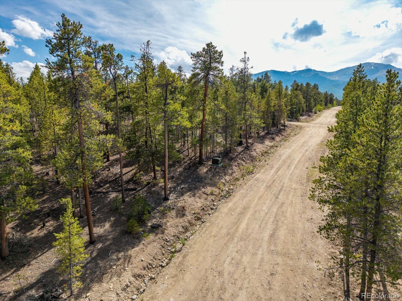 198 Lodgepole Drive