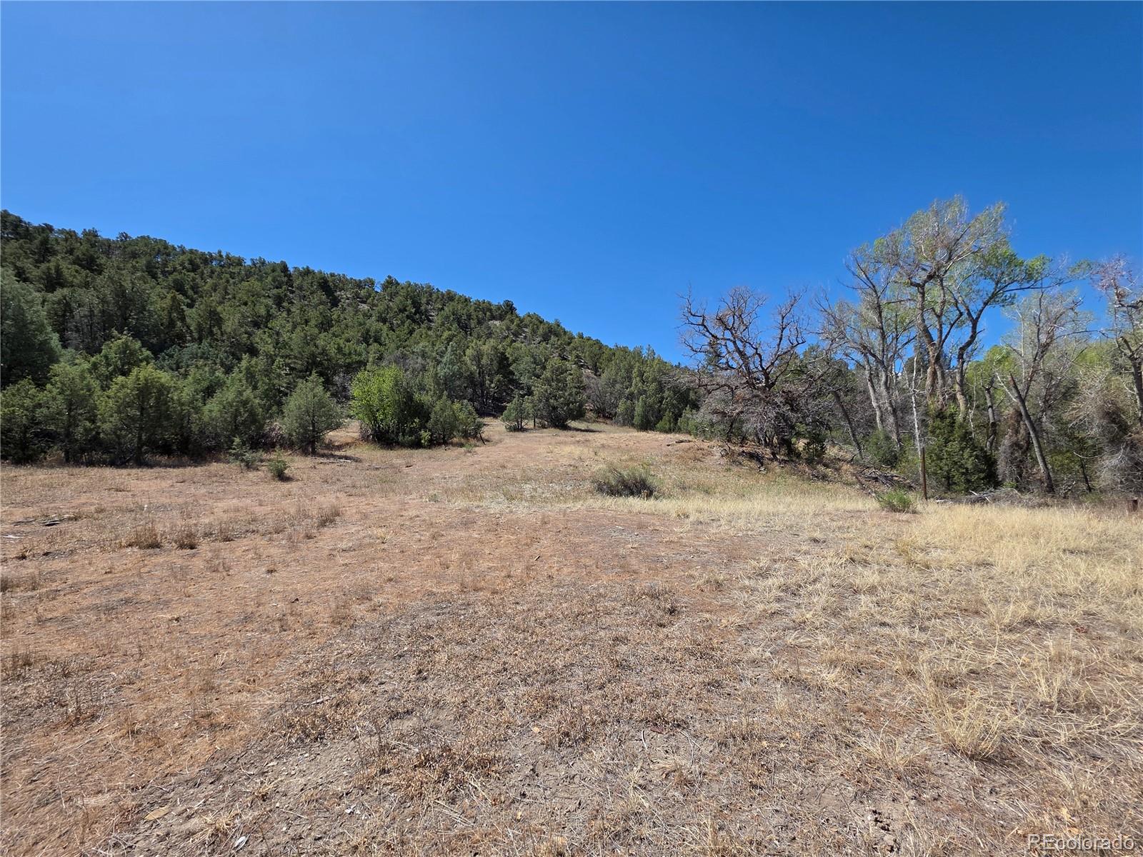 286 West Creek Road