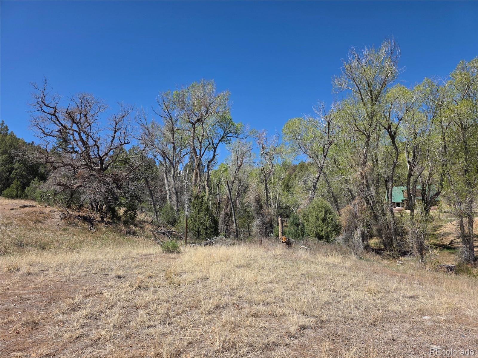 286 West Creek Road