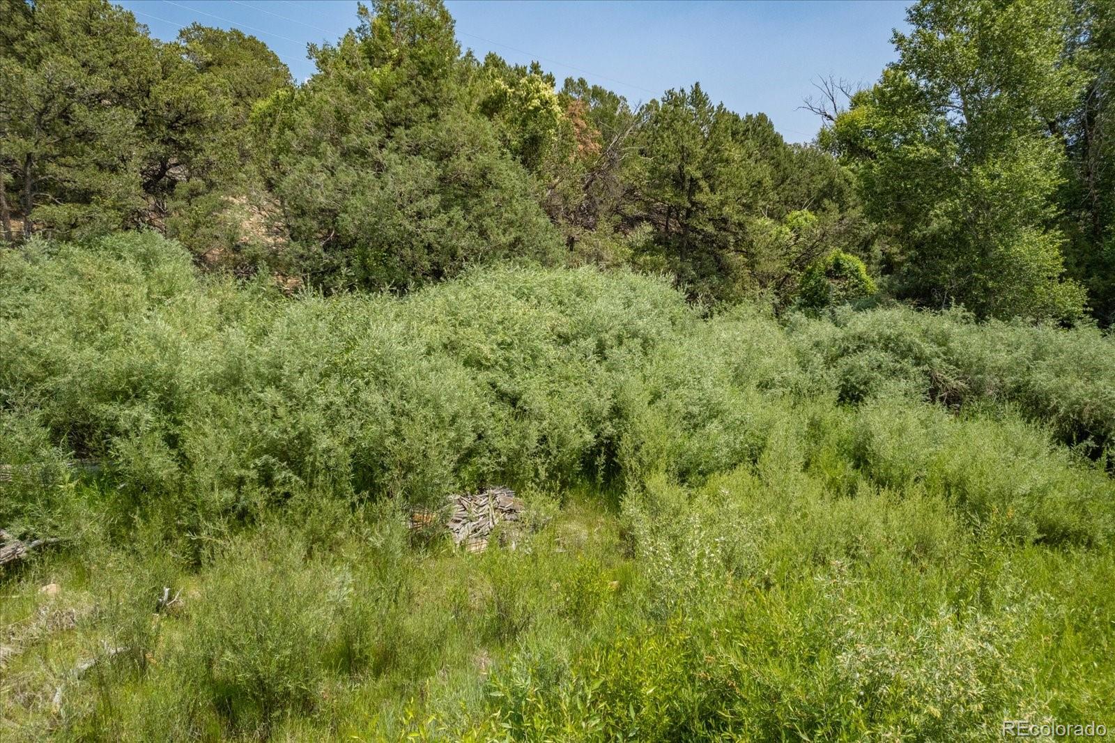 7918 Cozart Lane