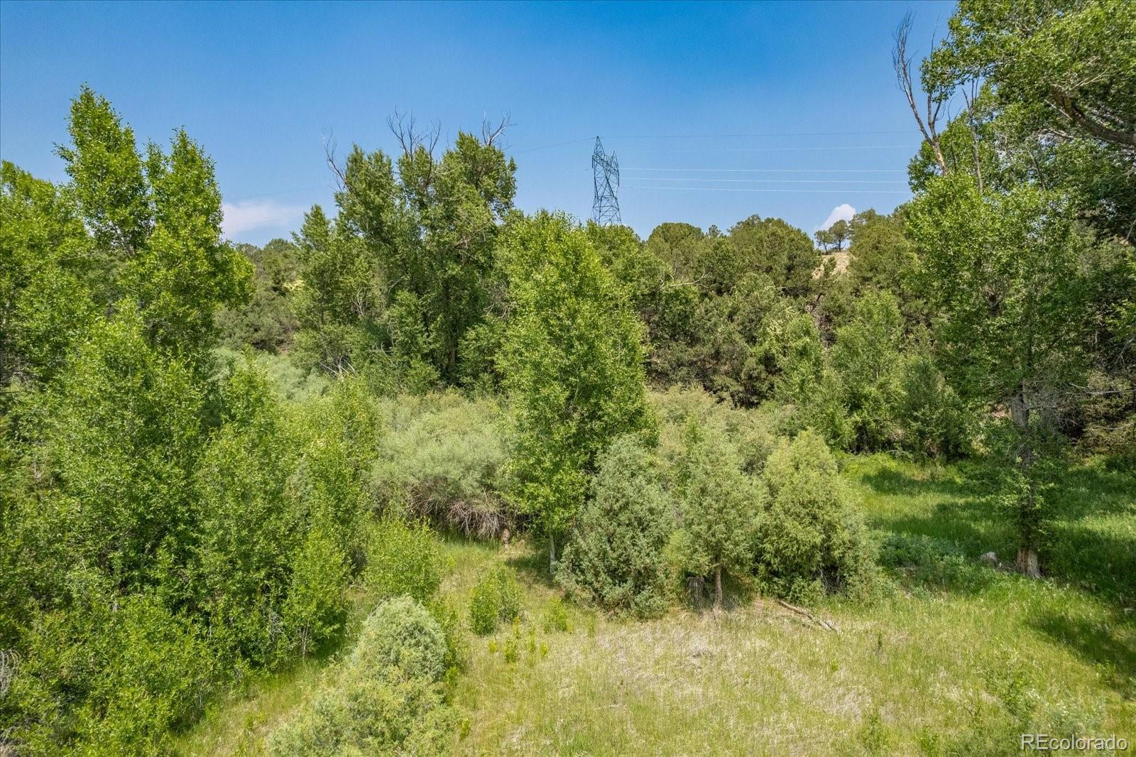 7918 Cozart Lane