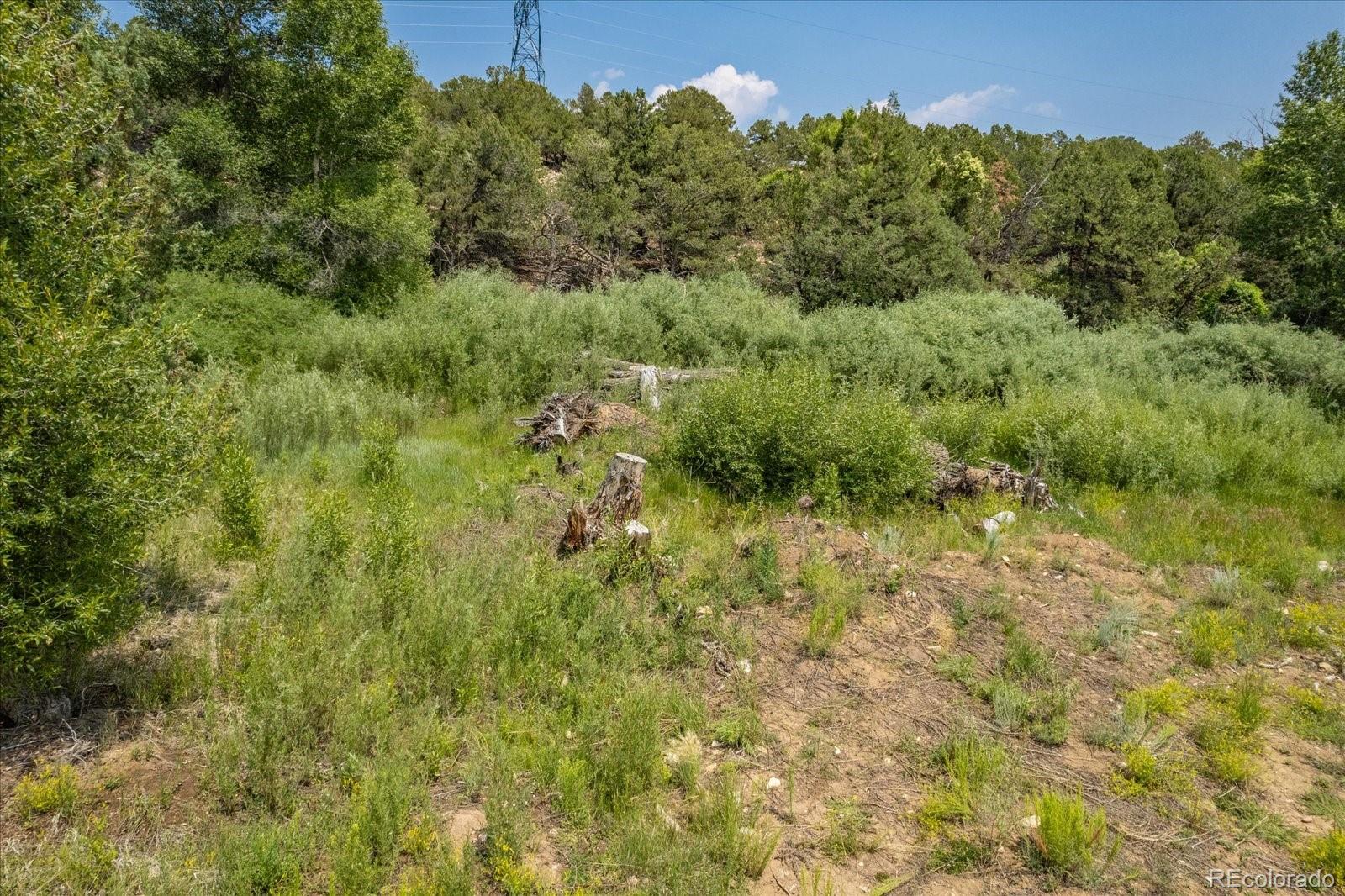 7918 Cozart Lane