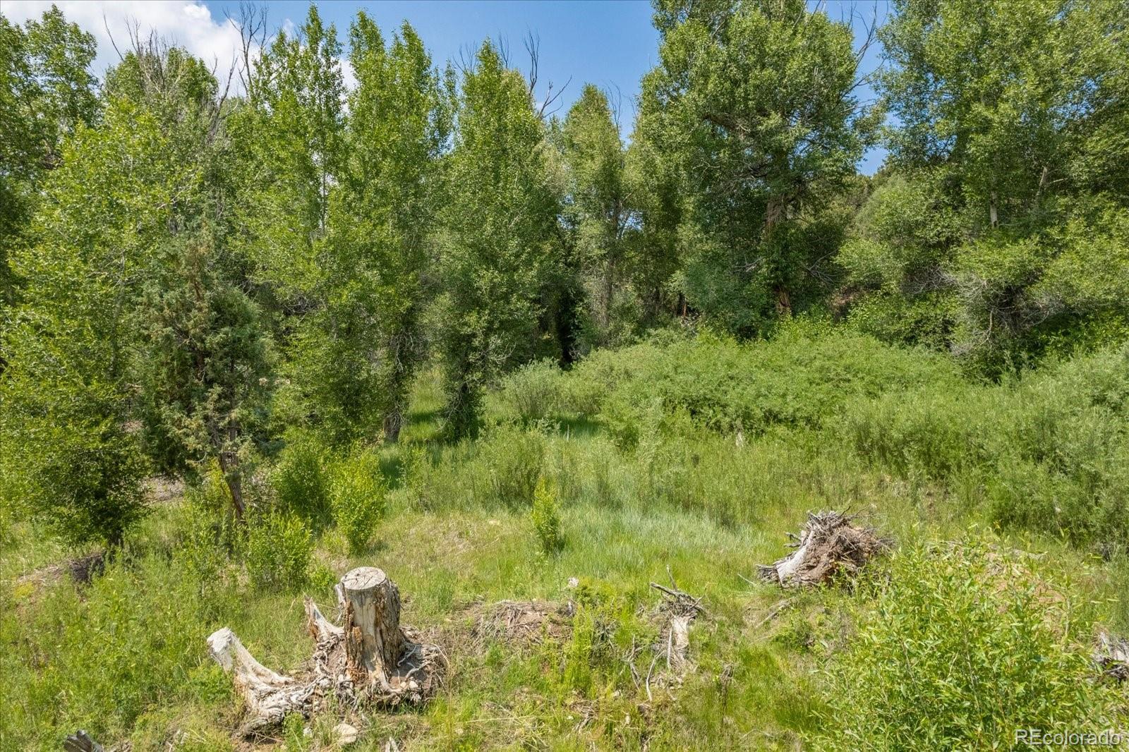 7918 Cozart Lane
