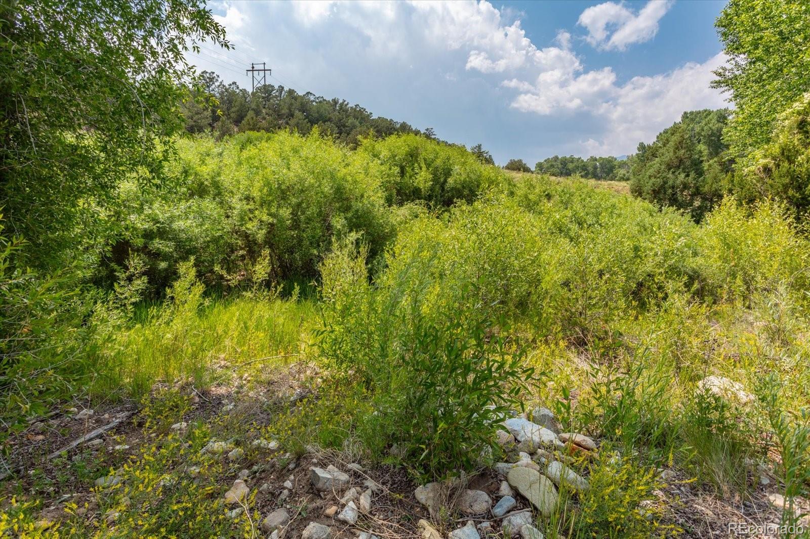 7918 Cozart Lane