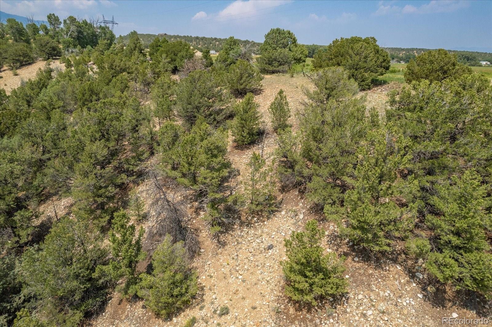 7918 Cozart Lane