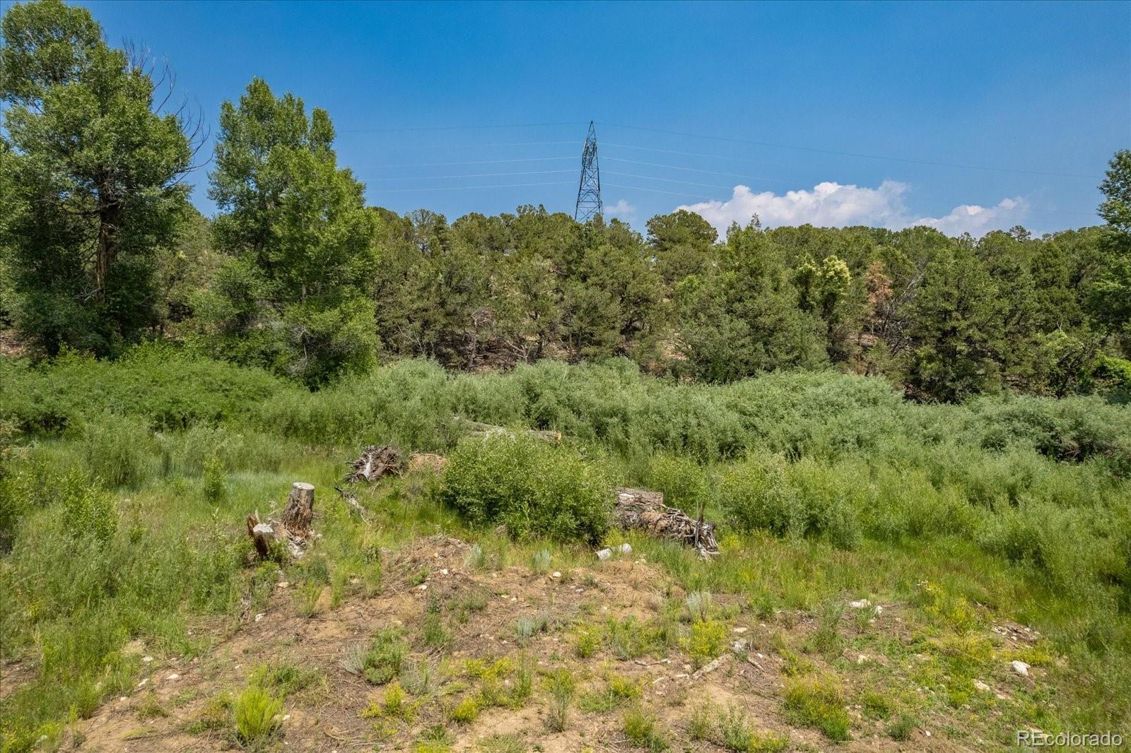7918 Cozart Lane