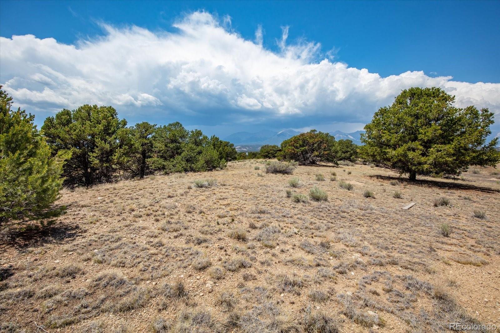 0 TBD County Road 193
