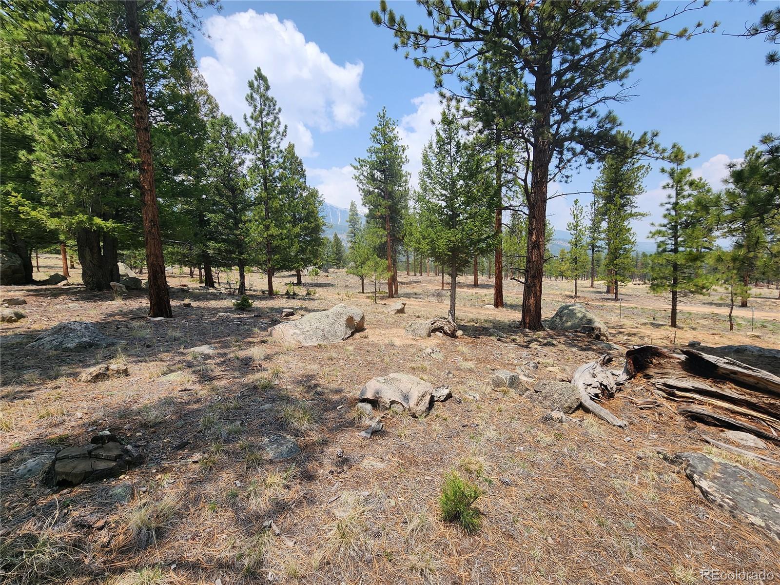 30634 Timberline
