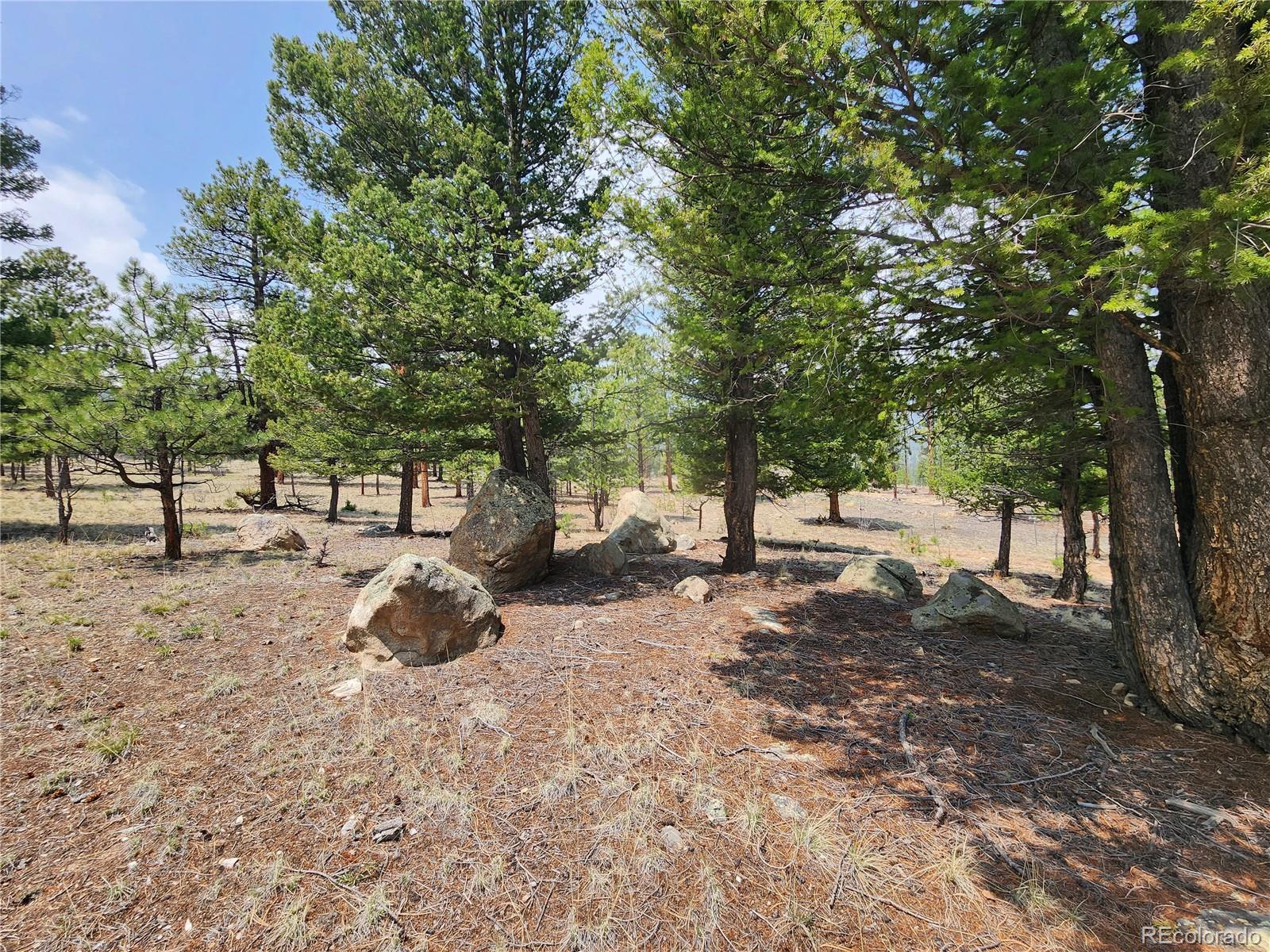 30634 Timberline