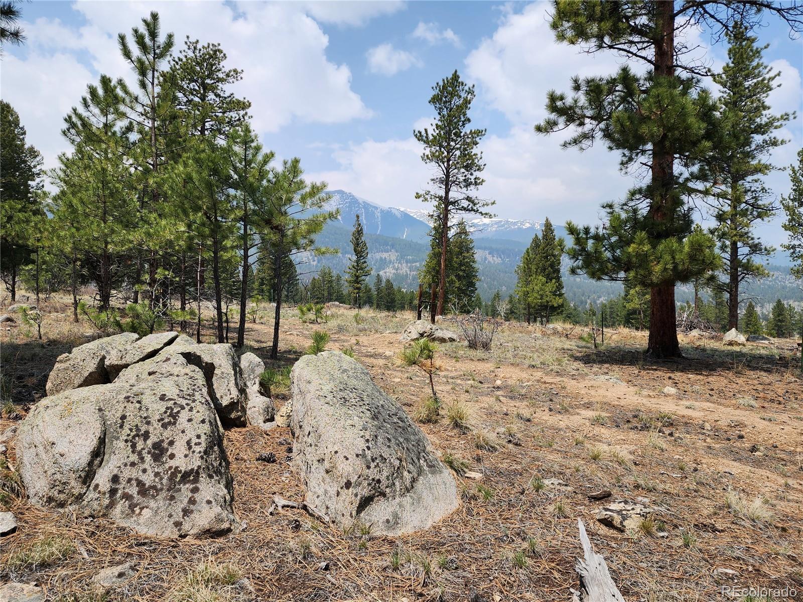 30634 Timberline