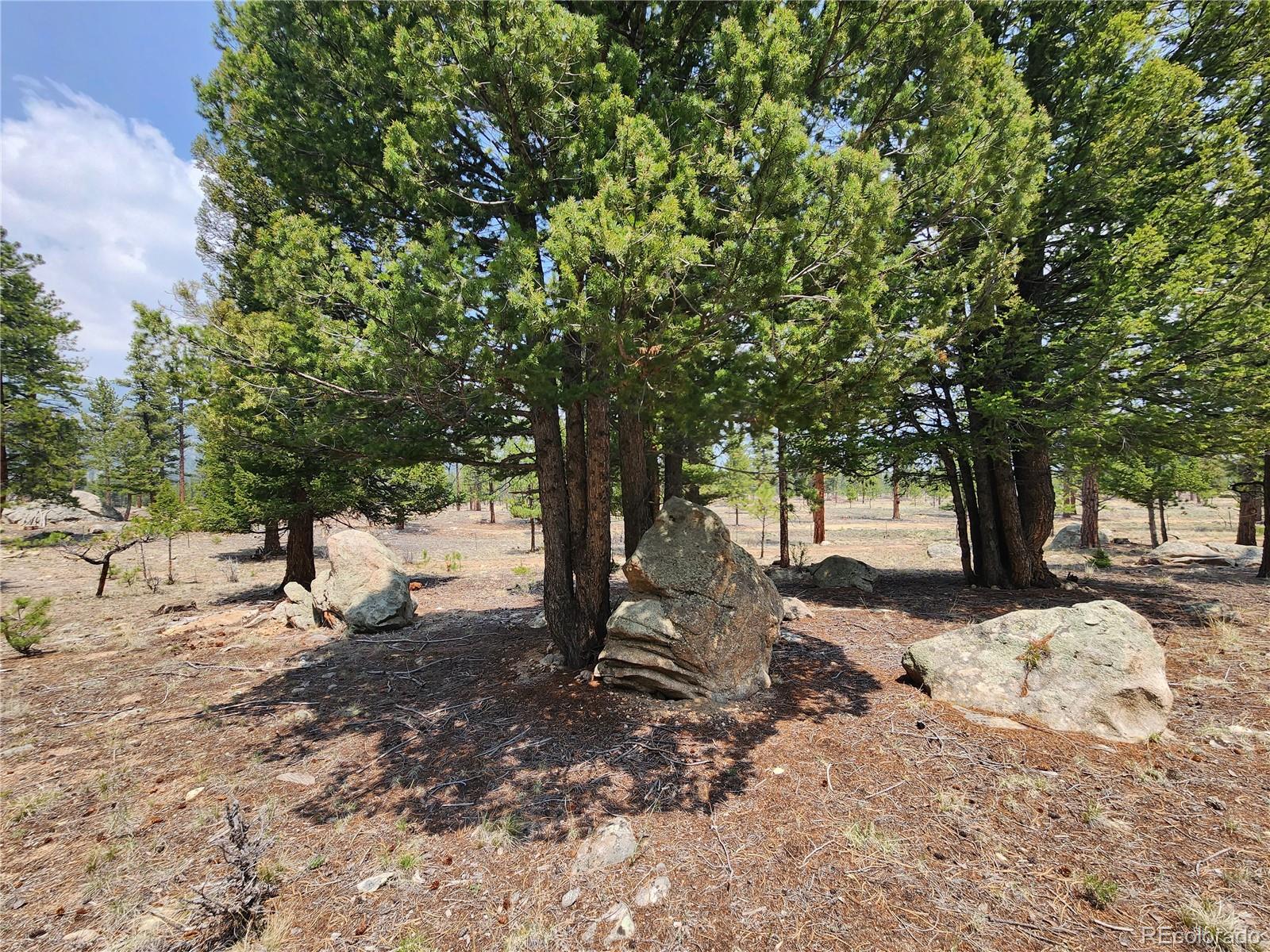 30634 Timberline