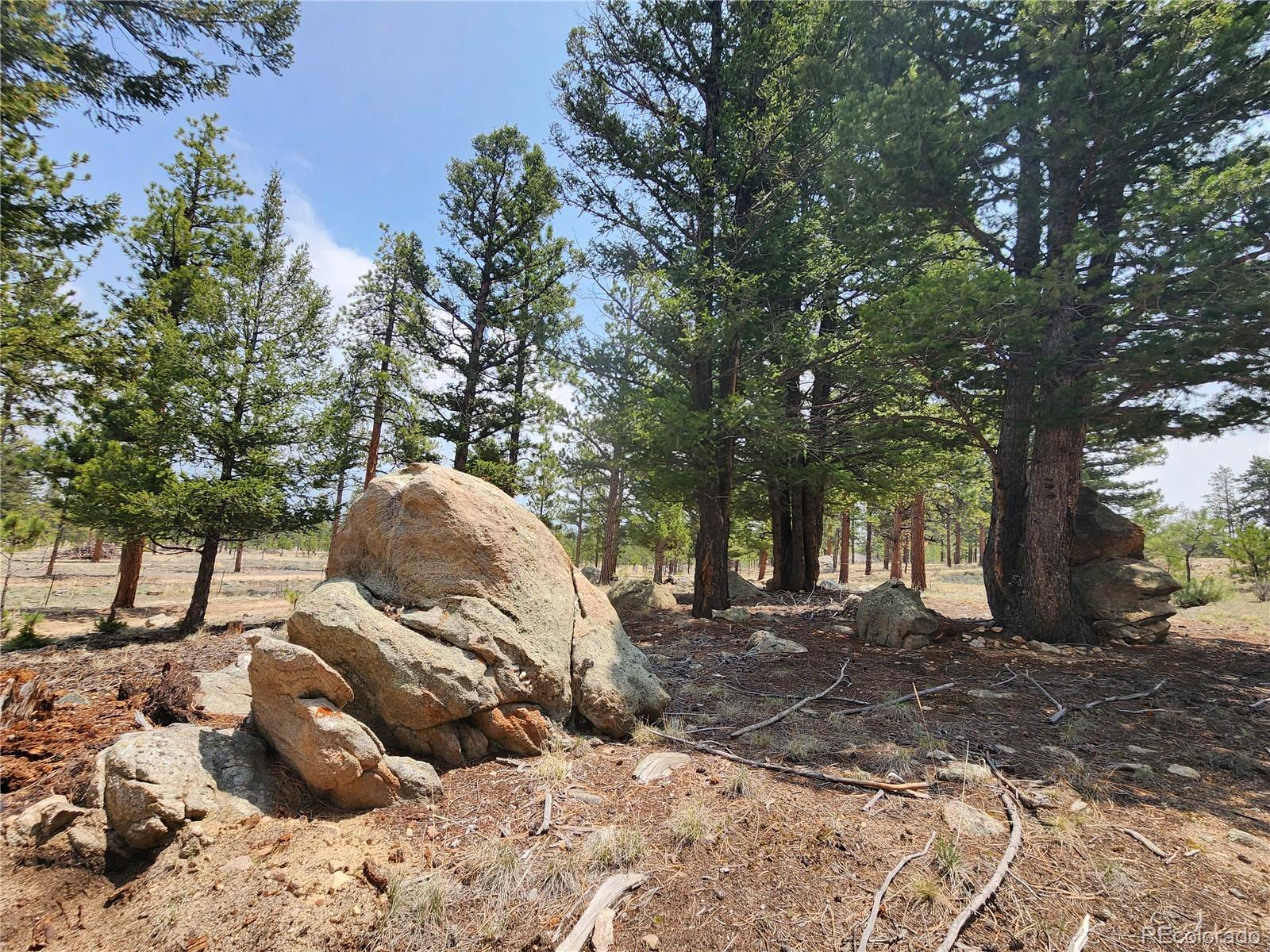 30634 Timberline