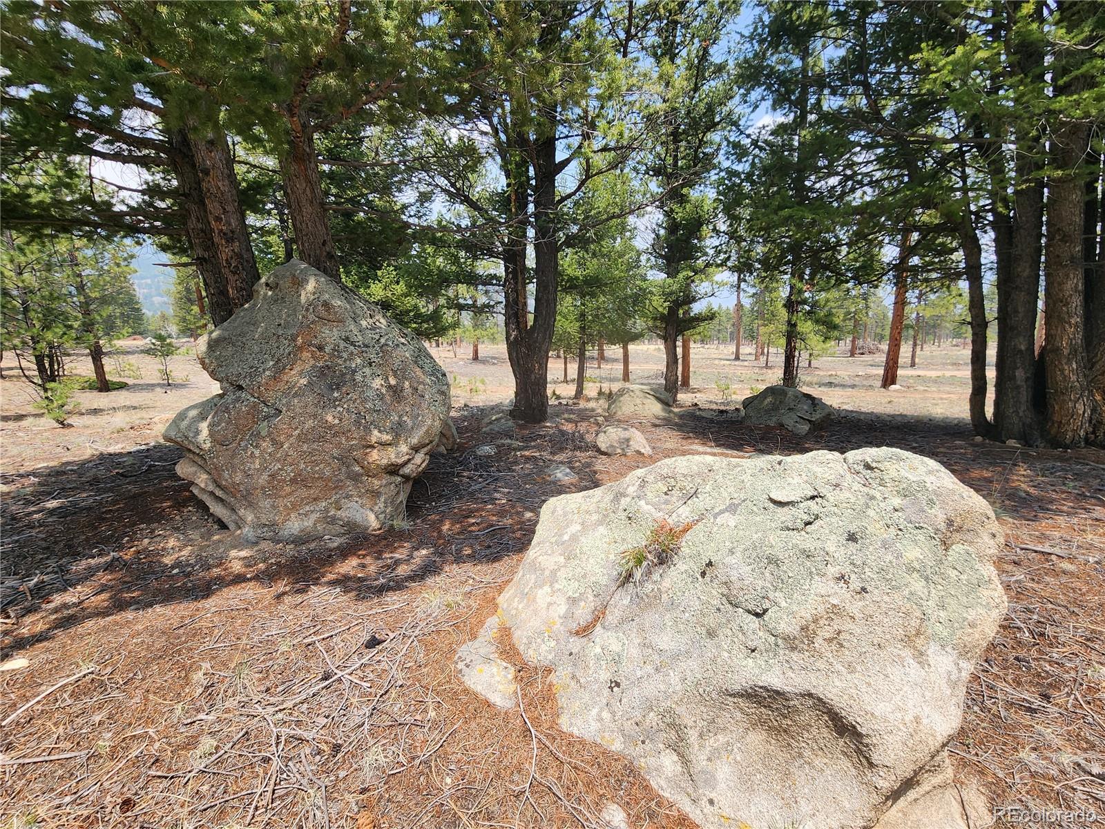 30634 Timberline