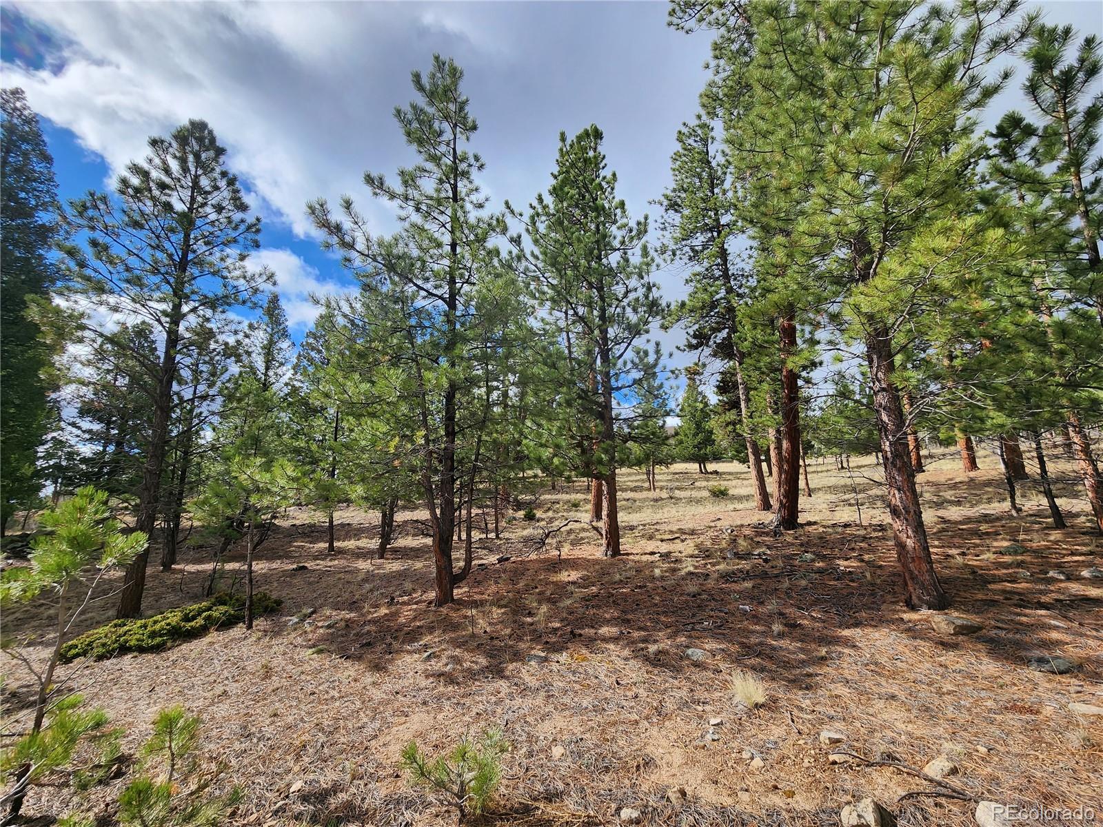30634 Timberline