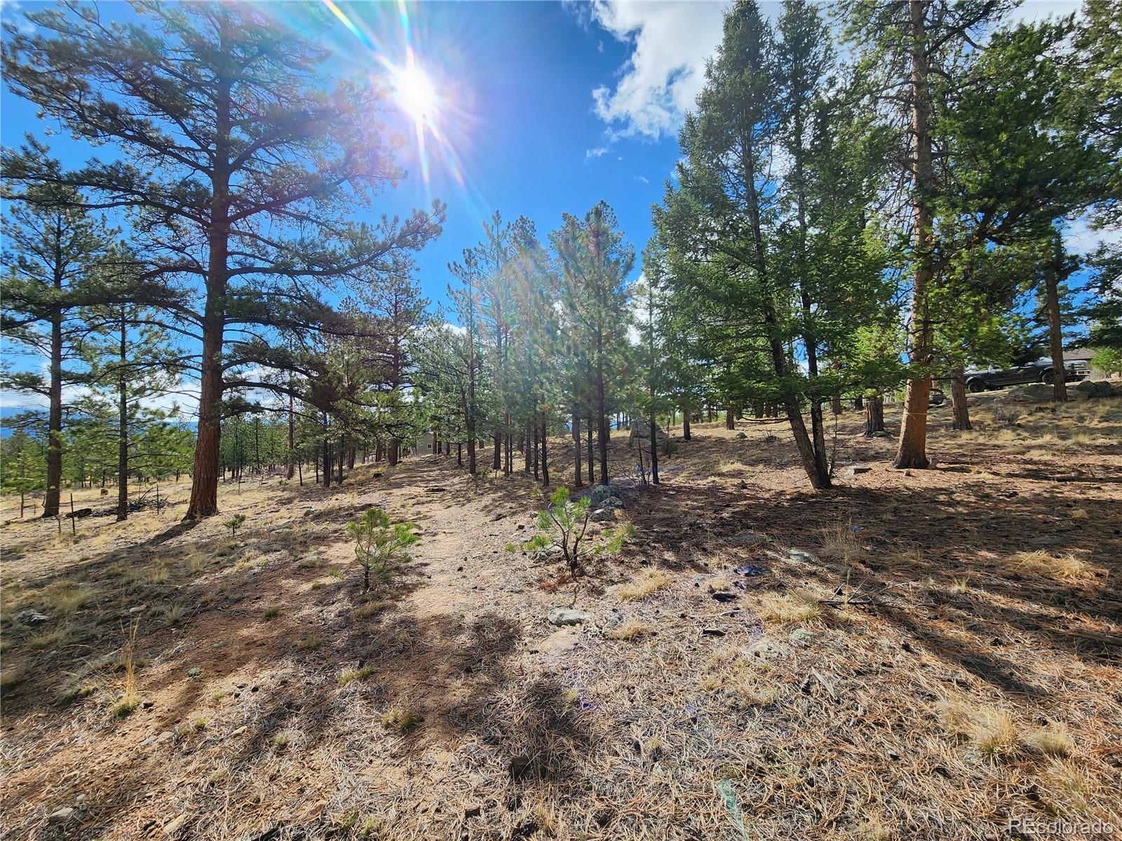 30634 Timberline