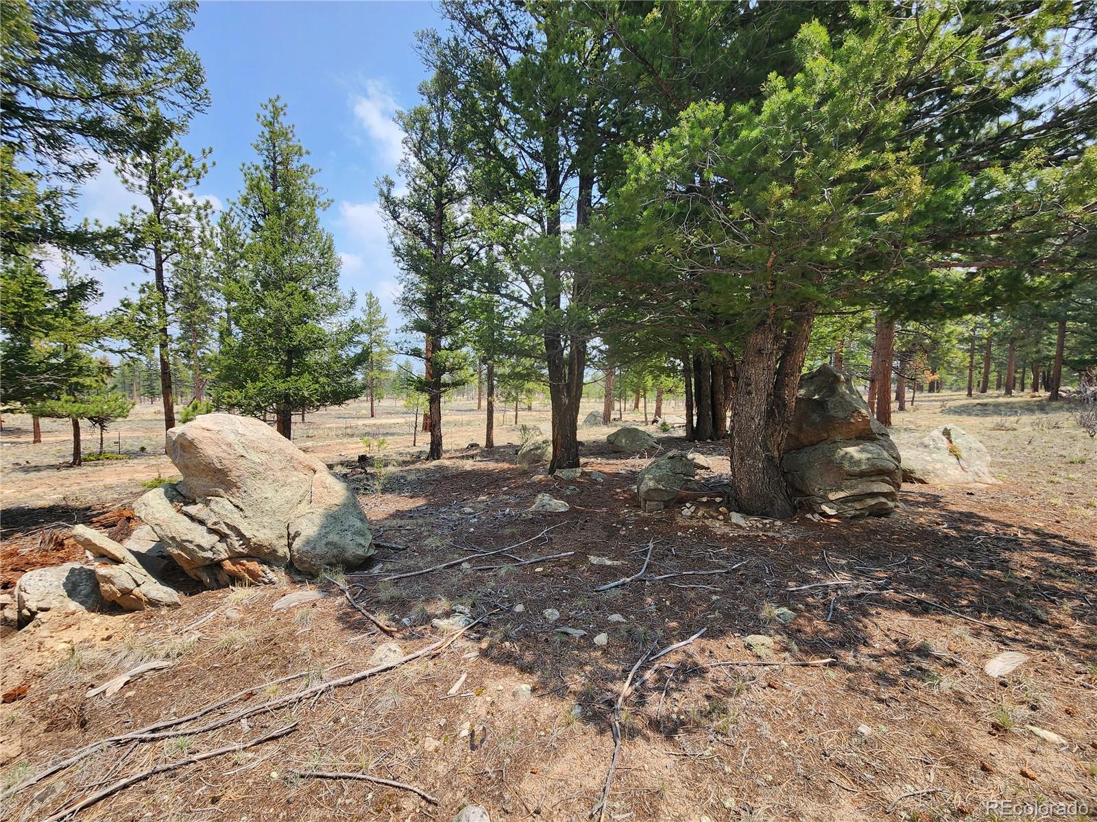 30634 Timberline