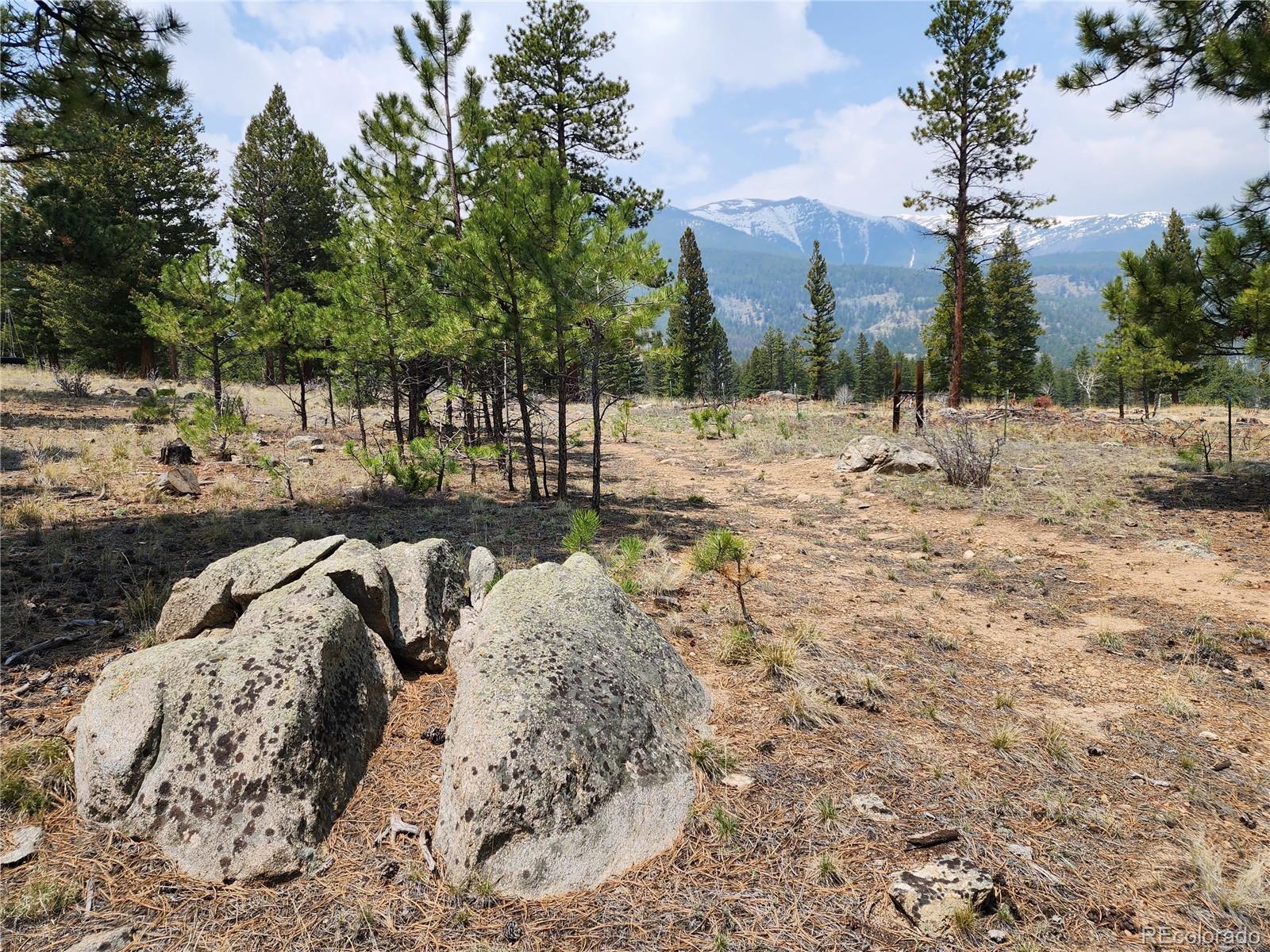 30634 Timberline