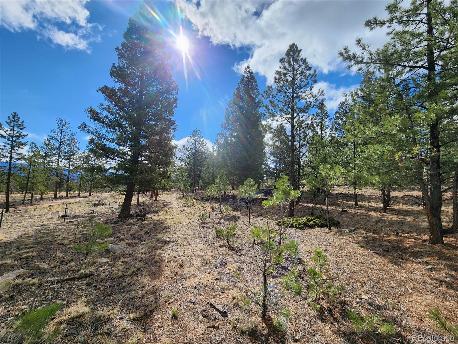30634 Timberline