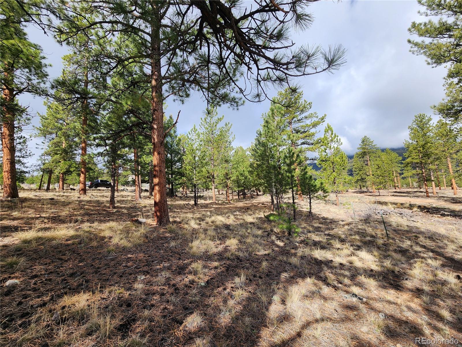 30634 Timberline