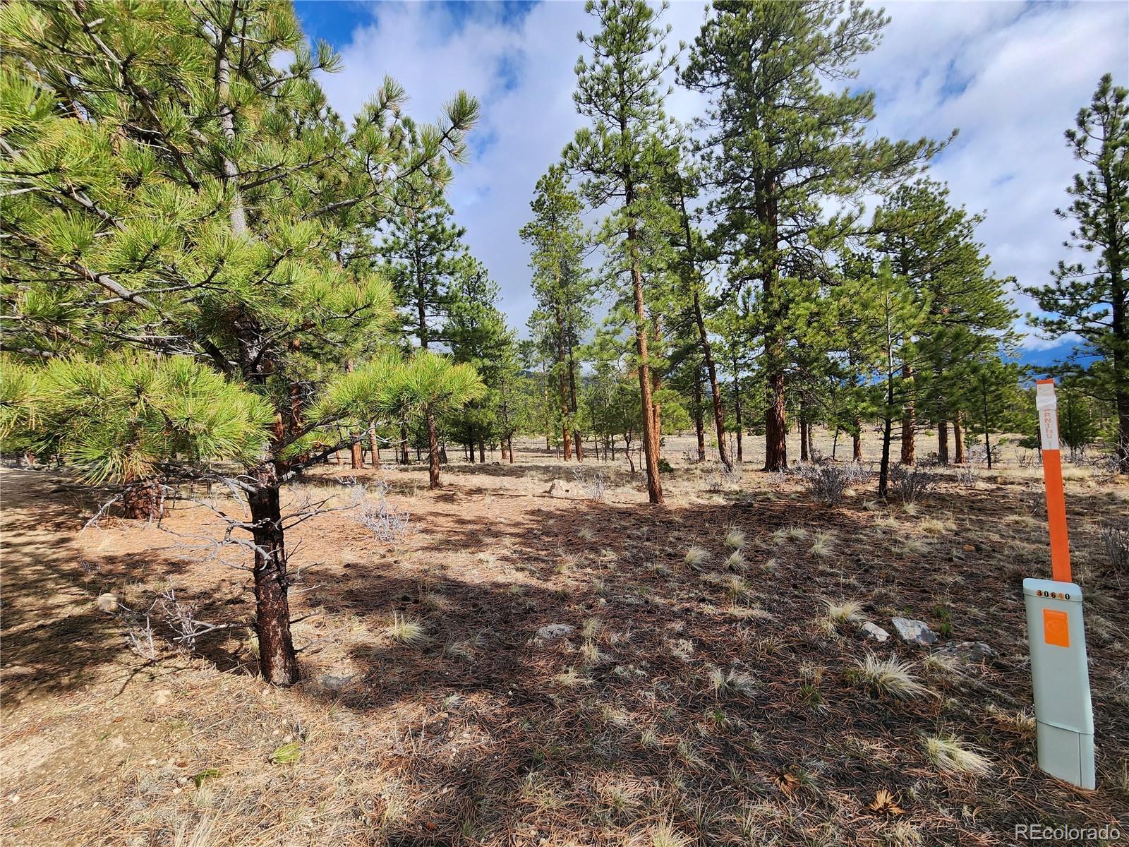 30634 Timberline