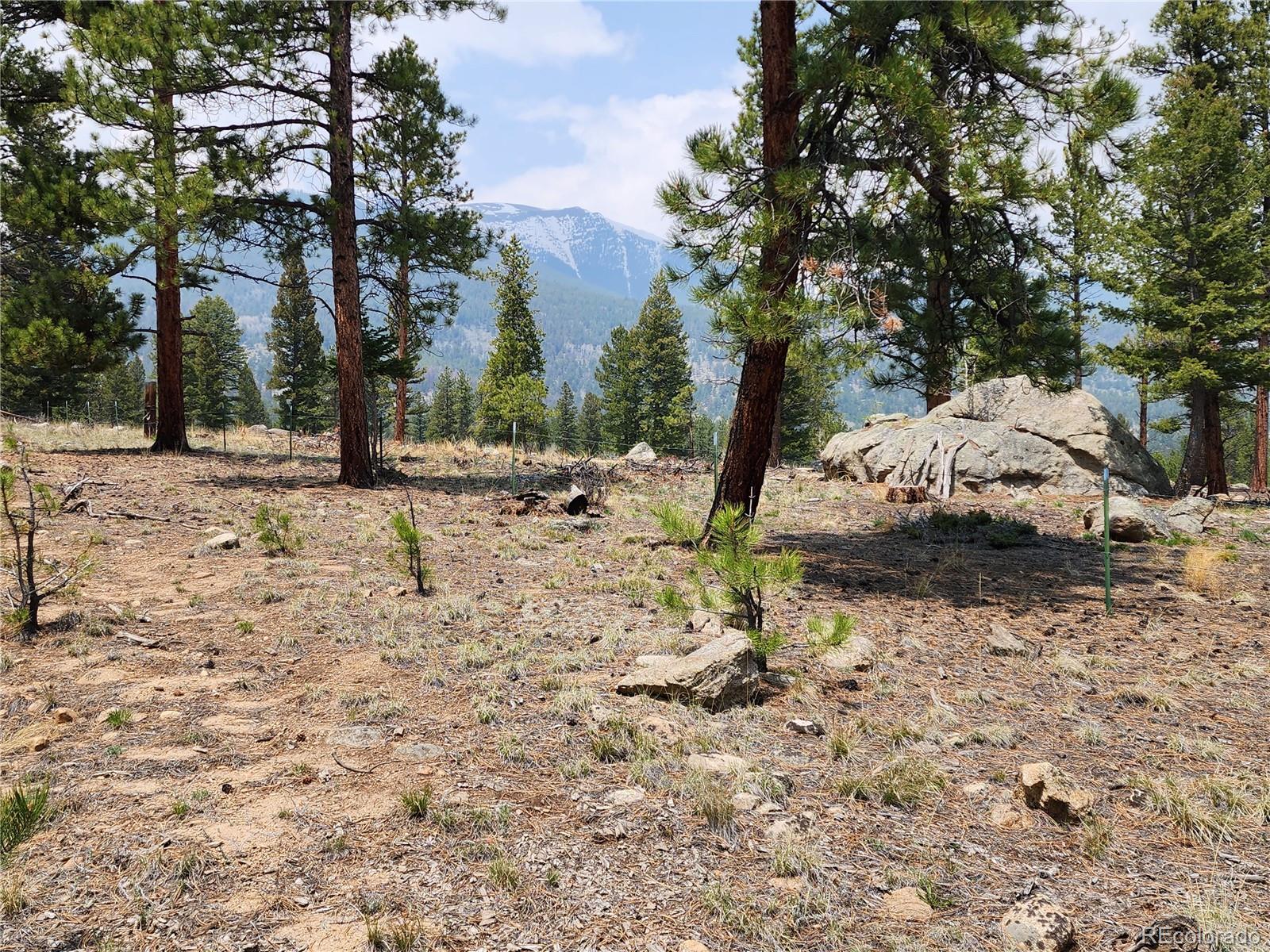 30634 Timberline