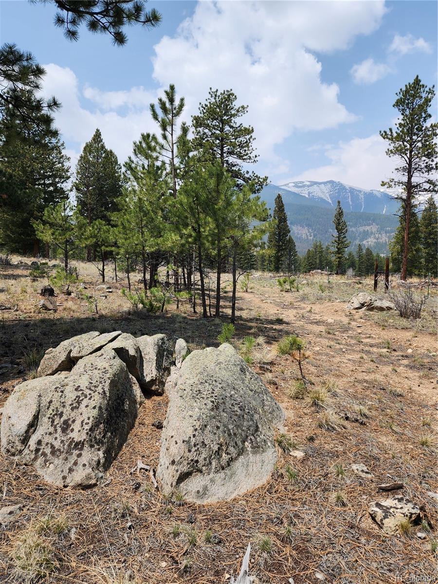 30634 Timberline
