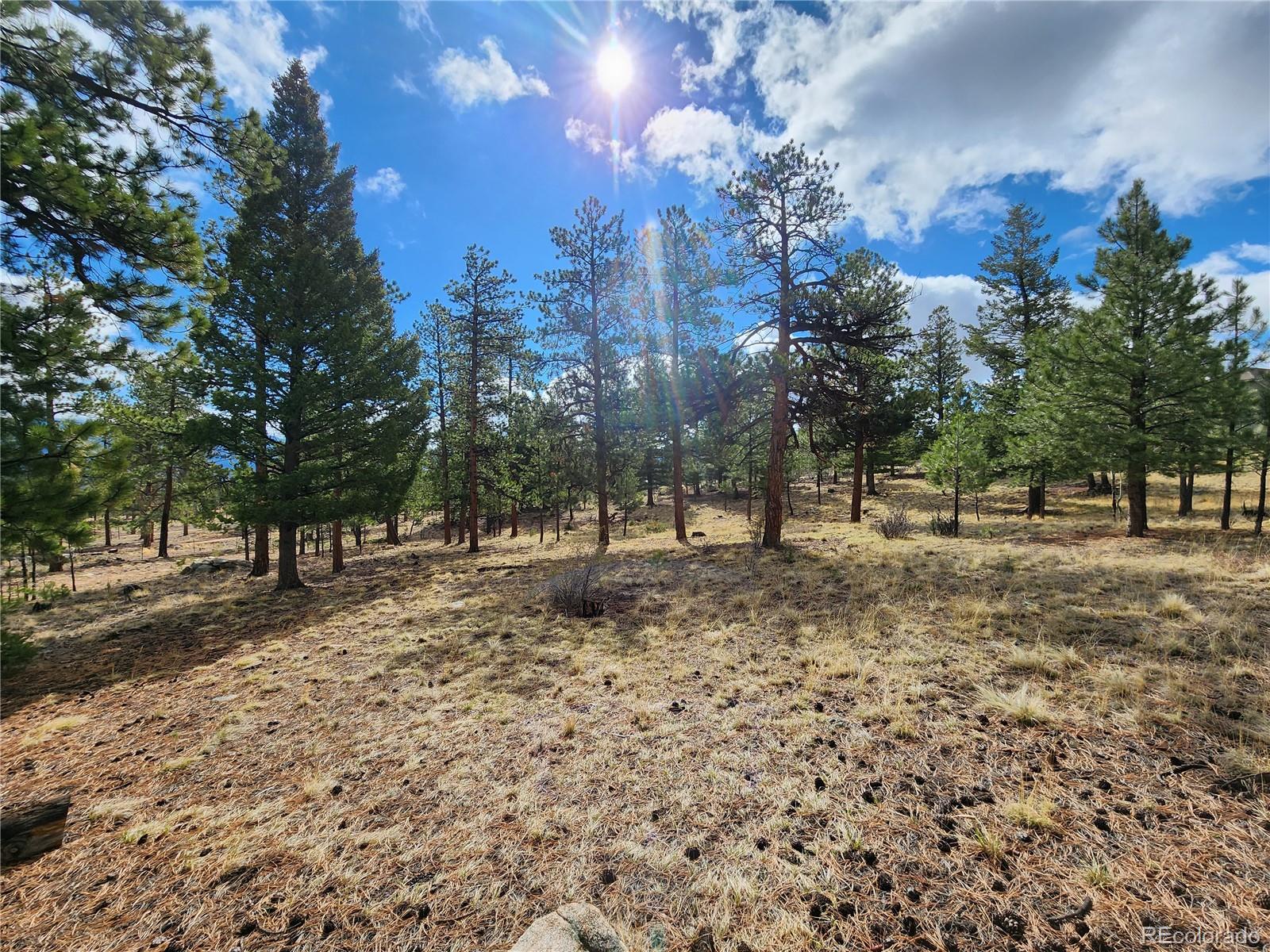 30634 Timberline