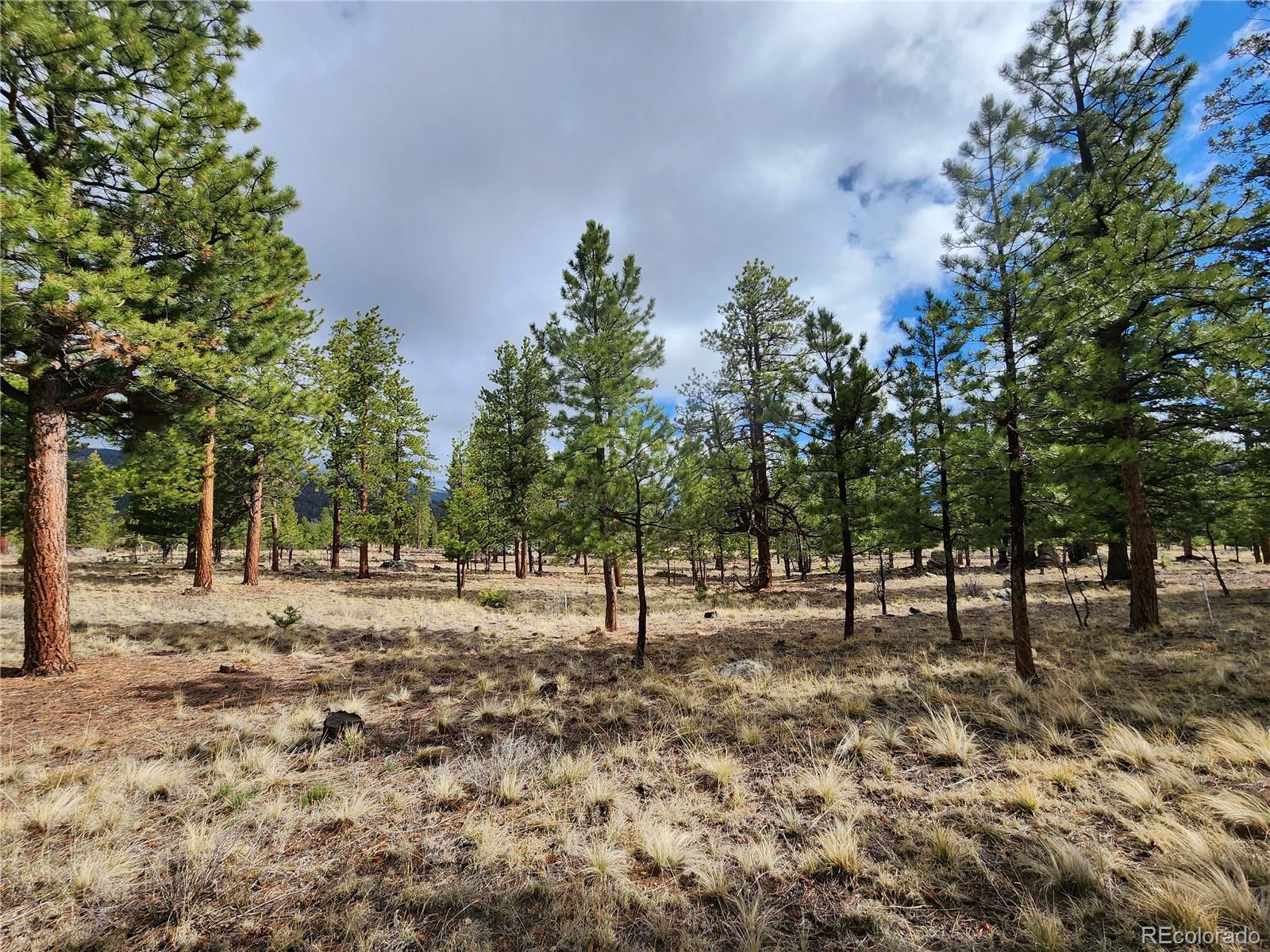 30634 Timberline