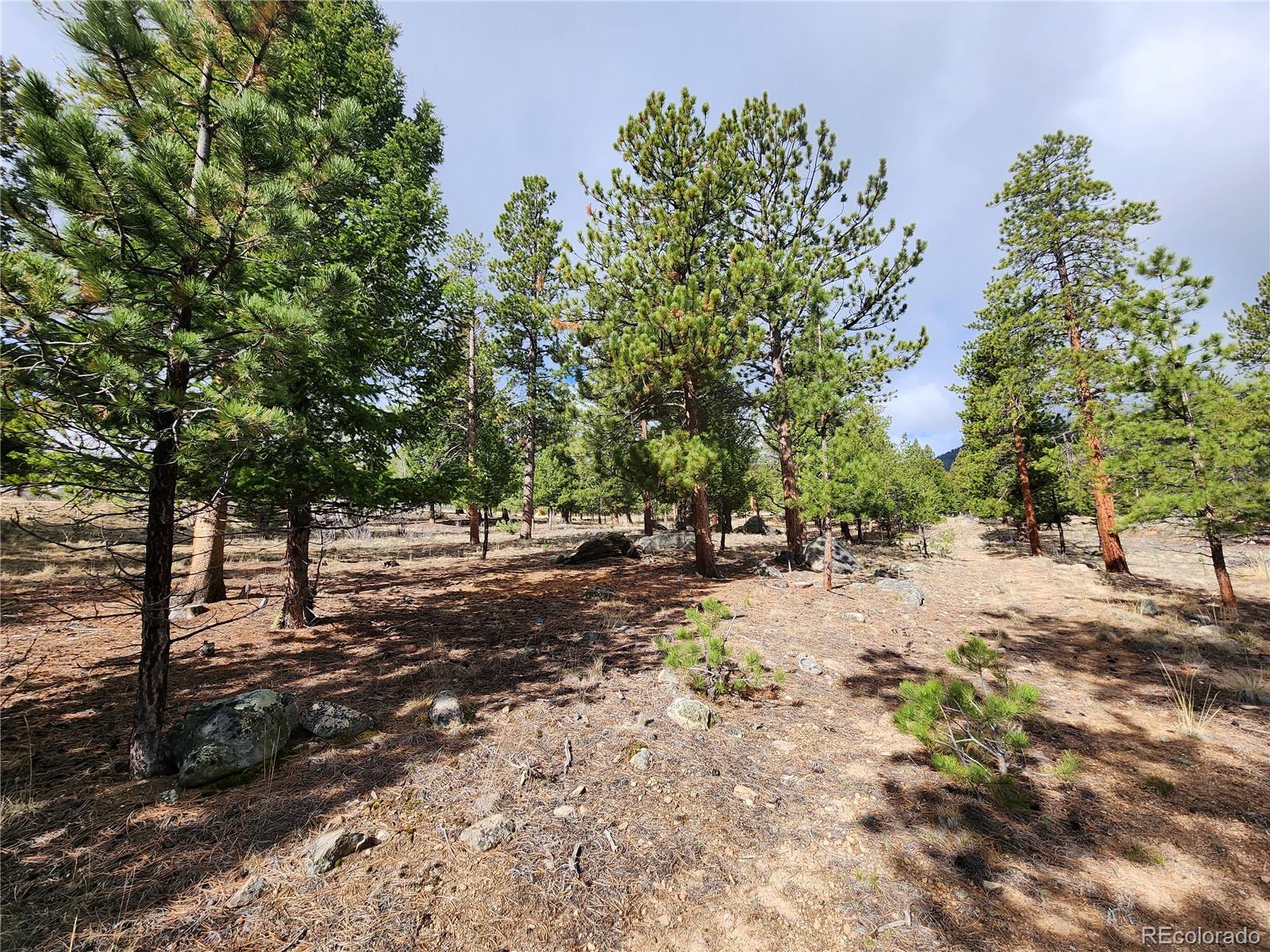30634 Timberline
