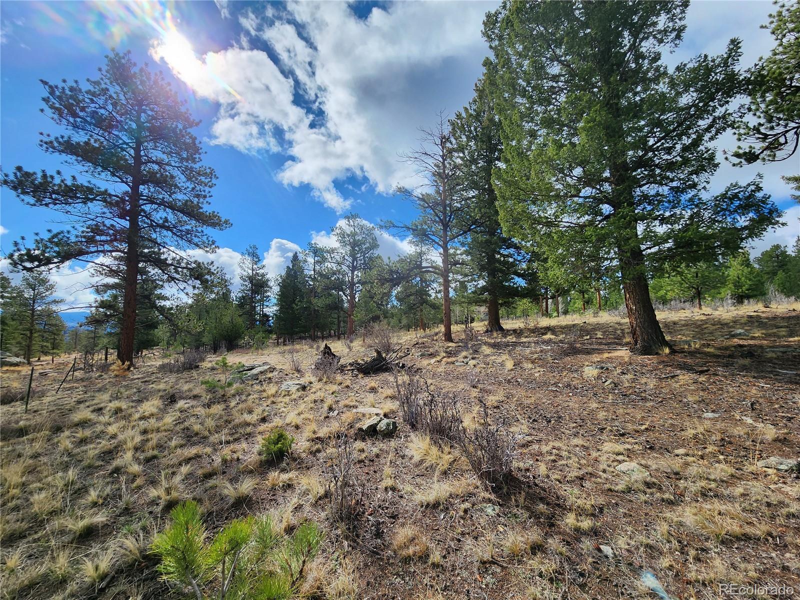 30634 Timberline