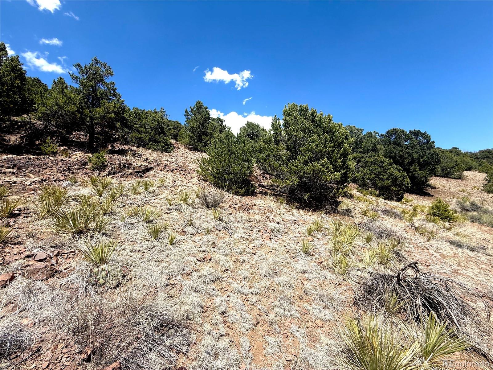 7 Elk Mountain