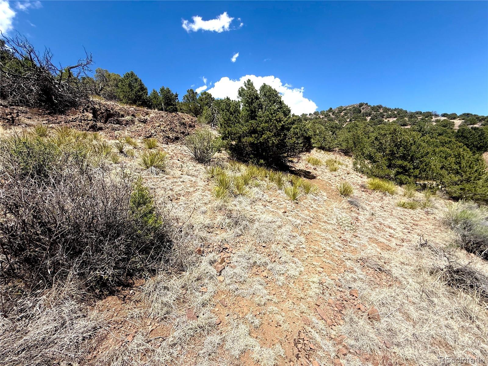 7 Elk Mountain