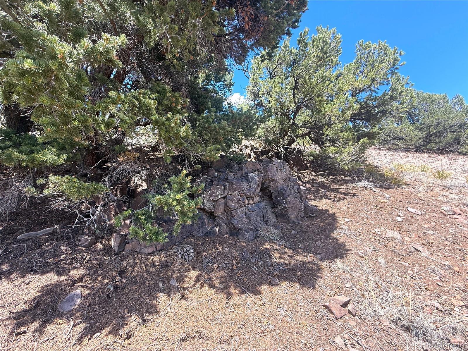 7 Elk Mountain