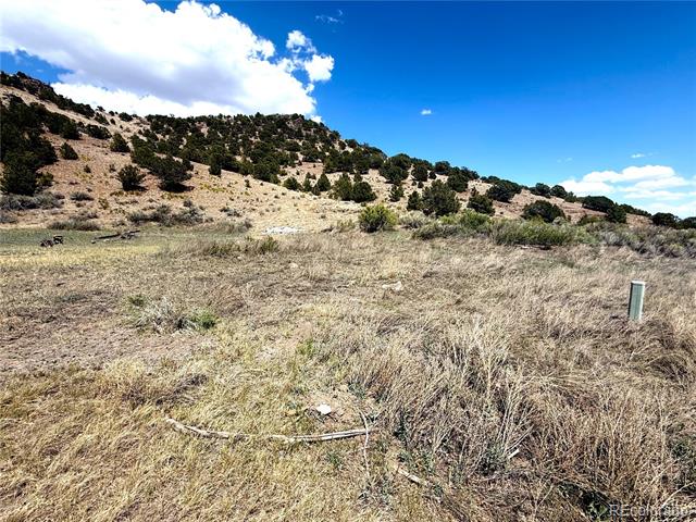 7 Elk Mountain