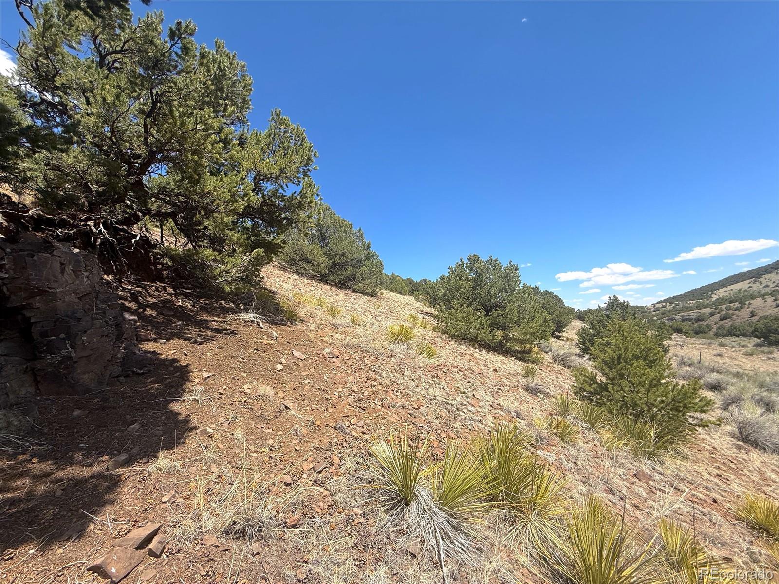 7 Elk Mountain