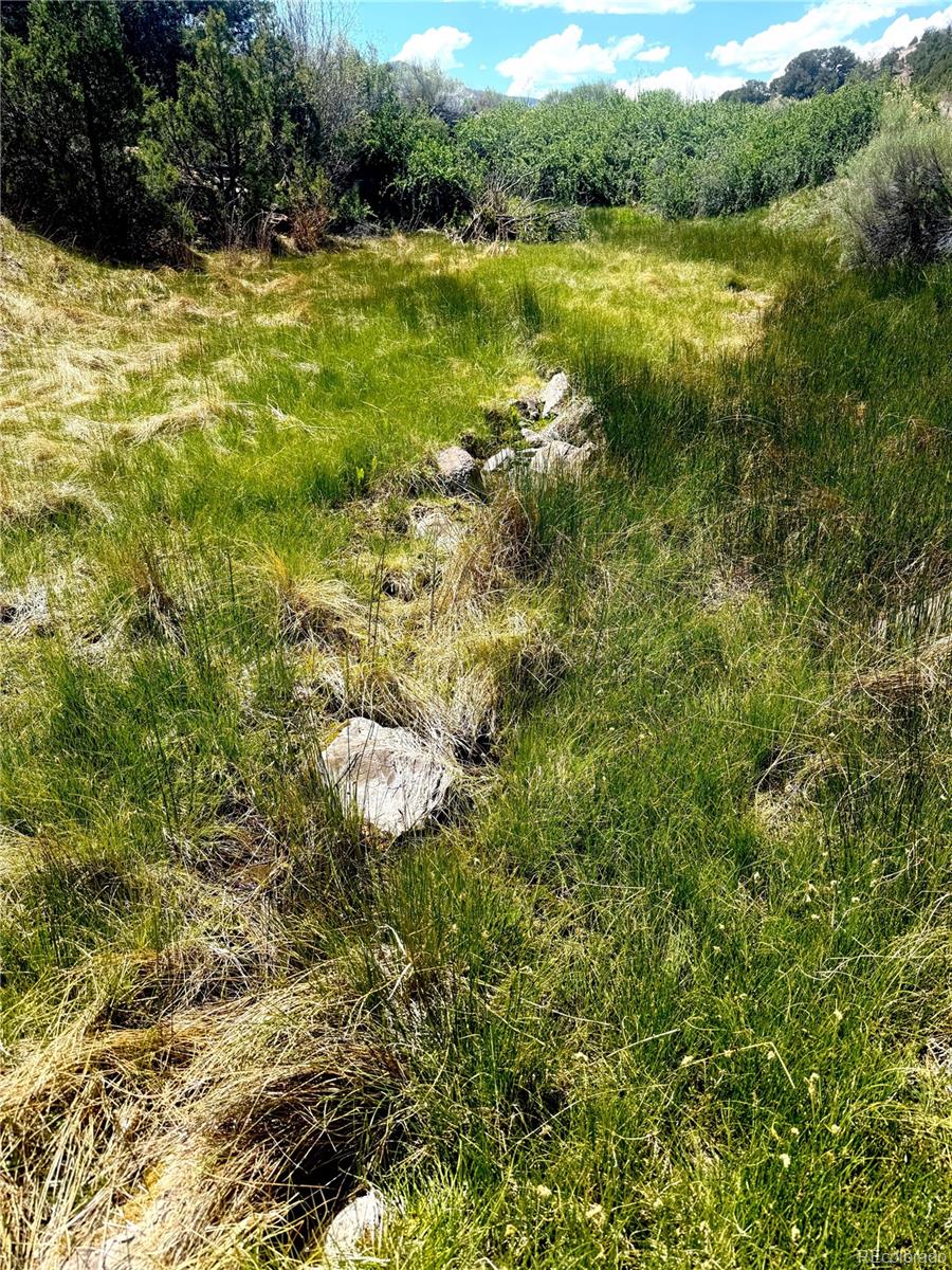 7 Elk Mountain